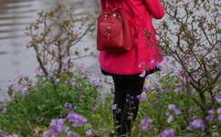 晚上家里没人就让你弄